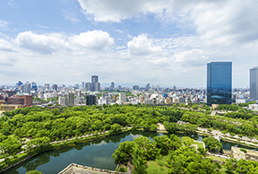 - 环保咨询服务 -